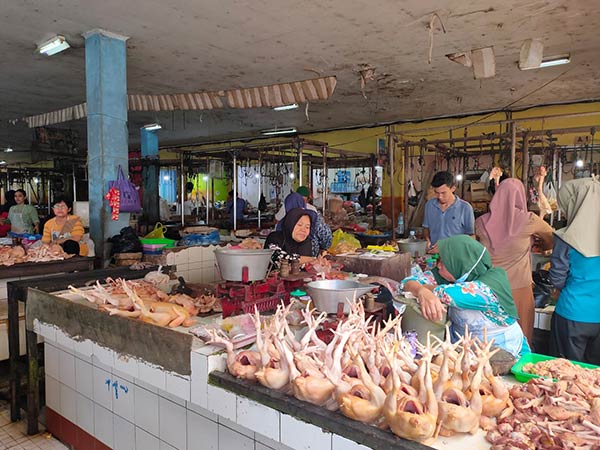 HARGA-AYAM