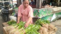 Jual sayur