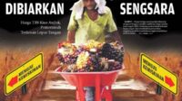 Petani kelapa sawit seolah dibiarkan sengsara dengan semakin anjloknya harga tandan buah segar (TBS)