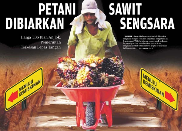 Petani kelapa sawit seolah dibiarkan sengsara dengan semakin anjloknya harga tandan buah segar (TBS)