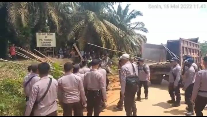 Berdiri di Lahan Sawit Pondok Ilegal Dibongkar,Koperasi Cempaga Perkasa,Kabupaten Kotawaringin Timur,PT. Wana Yasa Kahuripan Indonesia,Kementerian Kehutanan dan Lingkungan Hidup,kementerian kehutanan dan lingkungan hidup memiliki tugas dalam pengendalian,menteri kehutanan dan lingkungan hidup,menteri kehutanan dan lingkungan hidup daerah,lpse kementerian kehutanan dan lingkungan hidup,sekjen kementerian kehutanan dan lingkungan hidup,radar sampit,radar sampit kriminal terbaru,radar sampit 2022,radar sampit kriminal hari ini,radar sampit info terbaru,borneo news,borneo news kriminal,borneo news hari ini,borneonews sampit,berita sampit hari ini,berita sampit,berita sampit terbaru
