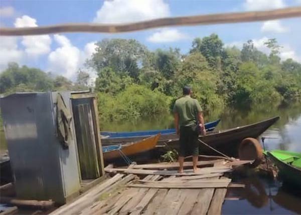 Buaya