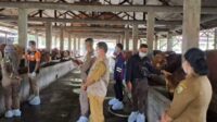 Petugas DKPP Kota Palangka Raya