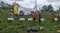 Bupati Kotim Halikinnor, Wakil Bupati Irawati