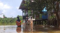 banjir lamandau