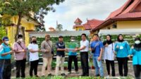bibit sayuran