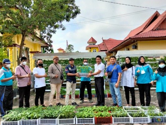 BIBIT SAYURAN bibit sayuran