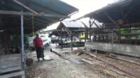 Distribusi Sapi ke Pangkalan Bun Terhambat
