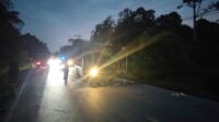 Truk pengangkut ayam ringsek bagian depan seusai menabrak belakang truk tronton