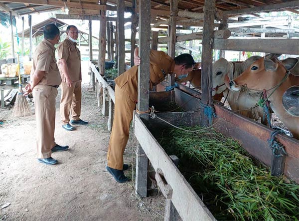 Petugas Distankan Lamandau