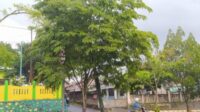 PJU MIRING