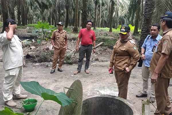 Ratusan ikan mati