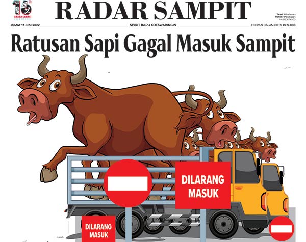 Sapi gagal masuk kotim