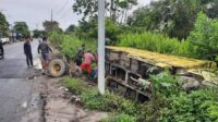 Truk kayu log Terguling