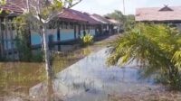 banjir rob 1