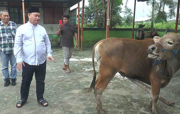 Secara simbolis Bupati Kotim Halikinnor serahkan hewan kurban