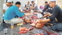 Jajaran pegawai RSUD dr Murjani Sampit dan jemaah Masjid Assyifa saat memotong dan mengemas daging sapi kurban yang baru saja disembelih