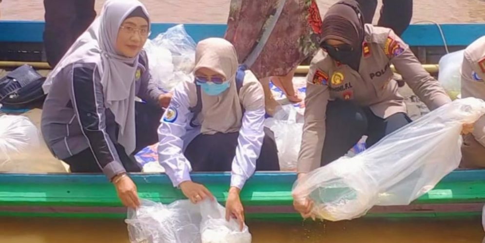 Danau Teluk,Kelurahan Kameloh,Kota Palangka Raya,Dinas Perikanan Kota Palangka Raya,berita palangkaraya hari ini,radar sampit hari ini