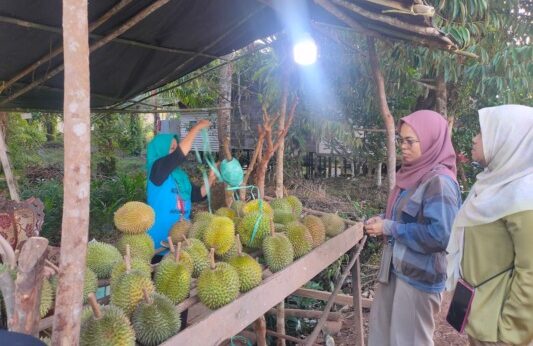 Penjual durian di Kecamatan Cempaga ketika melayani pembeli yang datang dari Kota Sampit, Sabtu (2/7).(yuni/radarsampit)