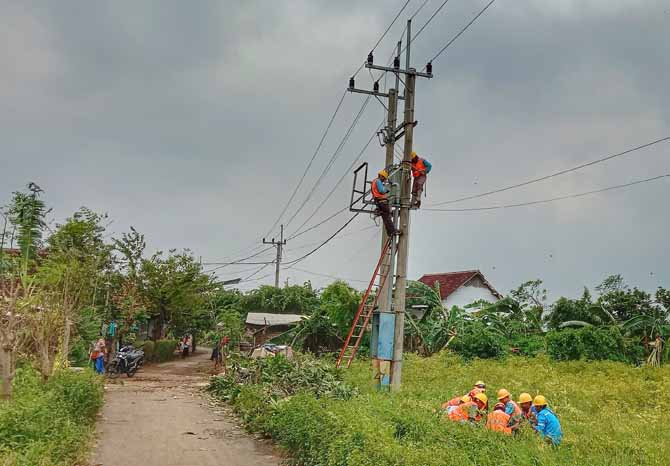 jaringan listrik