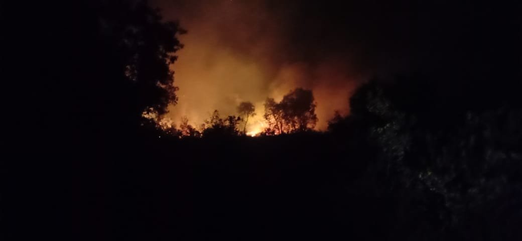 KARHUTLA PANGKALAN BUN karhutla pangkalan bun