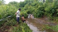 Proses evakuasi mobil yang ditumpangi H Masrawan dan keluarga