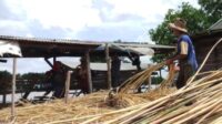 Aktivitas pekerja rotan di wilayah utara Kabupaten Kotawaringin Timur