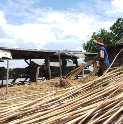 Aktivitas pekerja rotan di wilayah utara Kabupaten Kotawaringin Timur