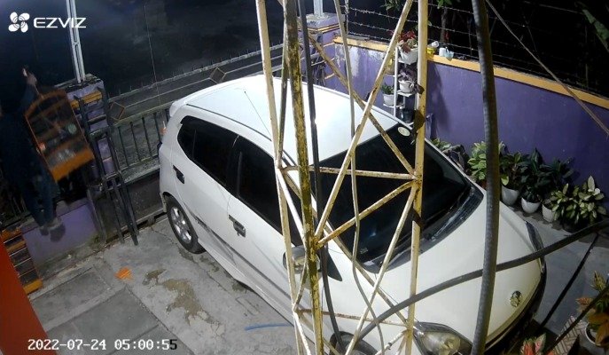 MALING BURUNG 2 maling burung 2