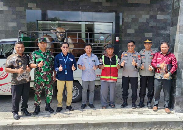 pelindo berbagi kurban,Pelindo Bagendang Salurkan Lima Hewan Kurban,pelindo,radar sampit,idul adha