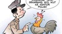 sabung ayam
