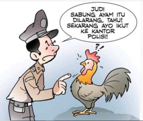 sabung ayam