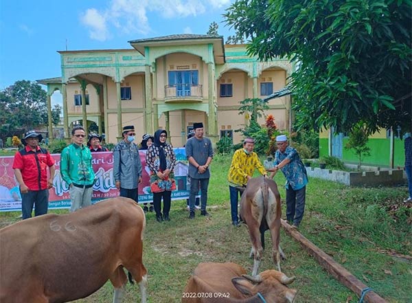 gubernur sebar 419 hewan kurban,gubernur kalteng,sugianto sabran,gubernur kalteng sekarang,radar sampit,idul adha,berita radar sampit hari ini,radar sampit hari ini