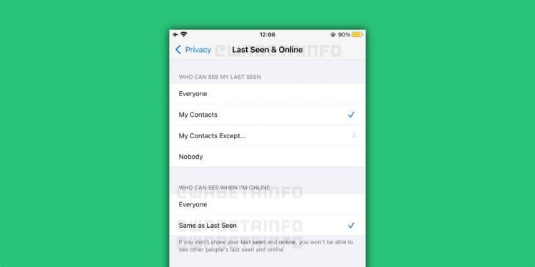 Ilustrasi: Fitur baru sembunyikan status online di WhatsApp sedang dalam pengerjaan. (WABetaInfo)