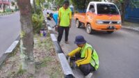 cat median jalan kota sampit