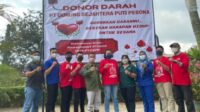 donor darah