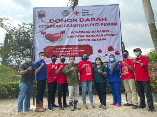 donor darah