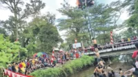 lomba panjat pinang
