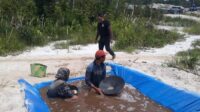 Katingan Hilir,tambang ilegal,tambang liar,polsek katingan hilir,polres katingan,berita katingan hari ini,radar sampit