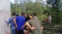 Kecamatan Jabiren Raya Kabupaten Pulang Pisau,pencurian,berita pulang pisau hari ini,radar sampit hari ini
