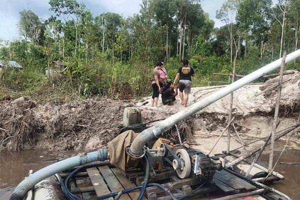 penambang emas tanpa izin kapuas
