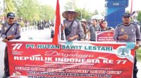 pt hsl pawai