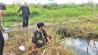 petugas balai konservasi sumber daya alam pos jaga sampit