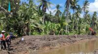 rehabilitasi sungai mentaya hilir selatan