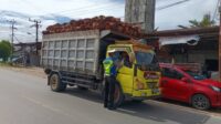 truk odol