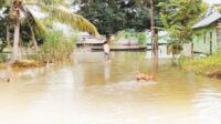 9 banjir aruta (1)