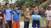 bibit ikan 2
