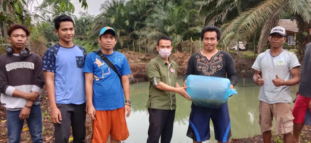 bibit ikan 2