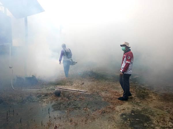 fogging dinkes kotim