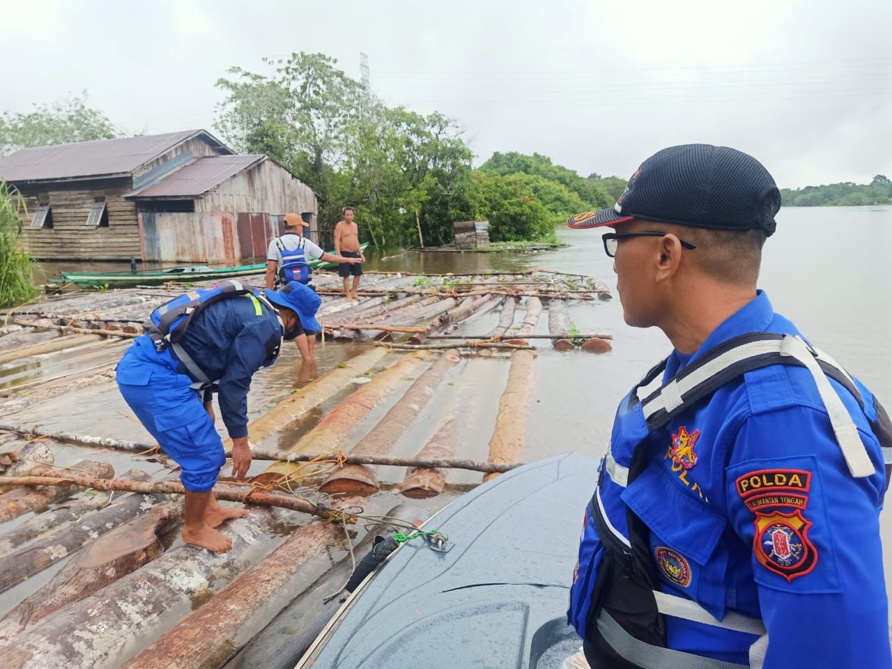 illegal logging